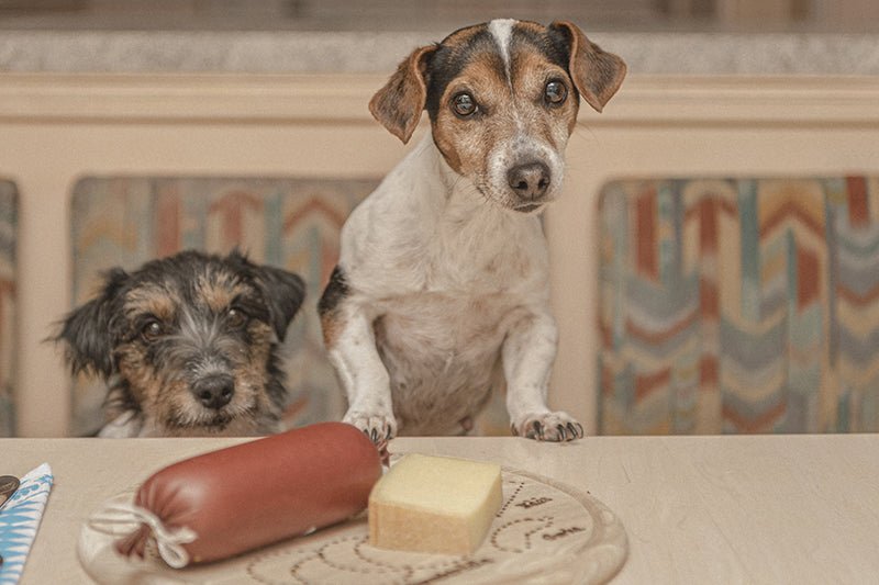 What if Your Dog Ate a Whole Bag of Treats? An In-depth Look