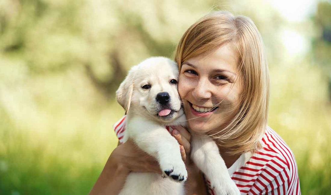 Dog Training Collars with Waterproof Design for Active Outdoors