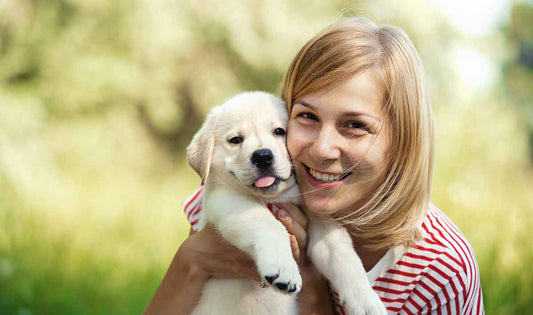 Techniques to Help Dogs Overcome Separation Anxiety