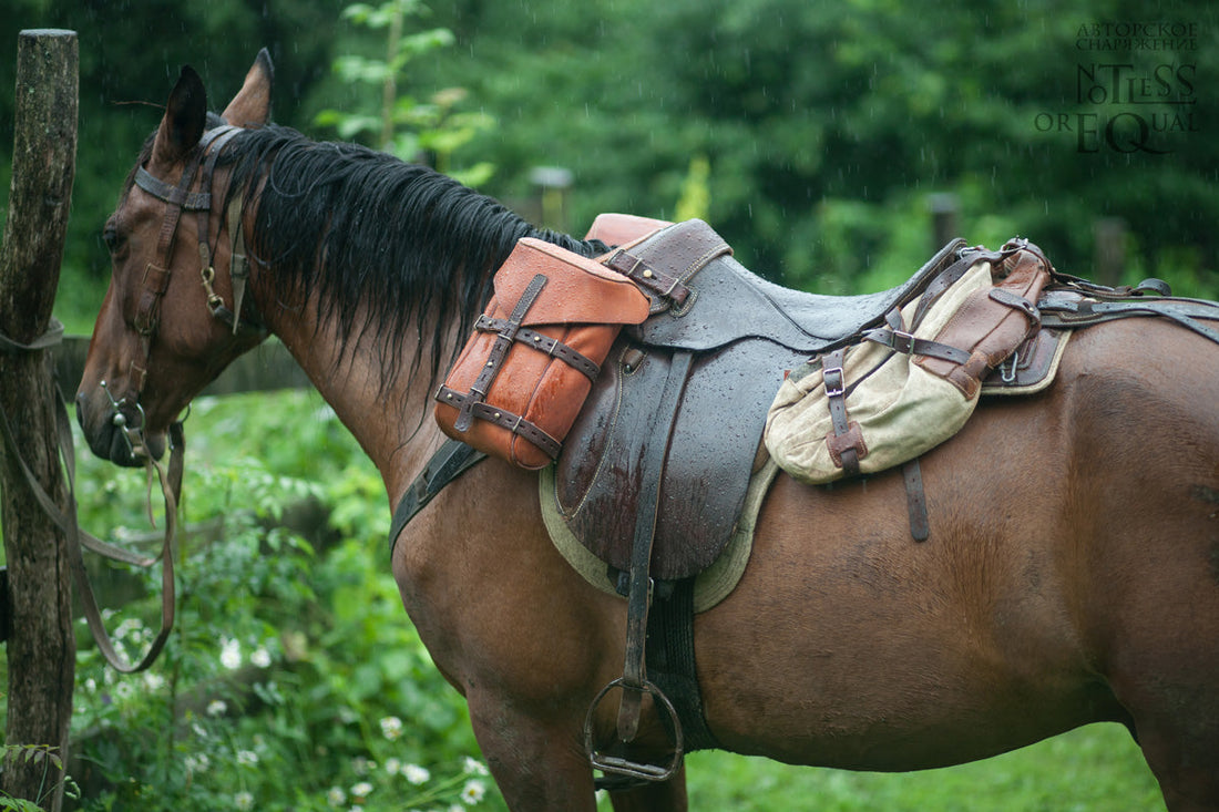 How to Put a Saddle Bag on a Horse: Tips for New Owners?