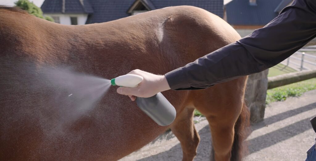Best Horse Fly Sprays to Keep Your Horse Bite-Free This Summer