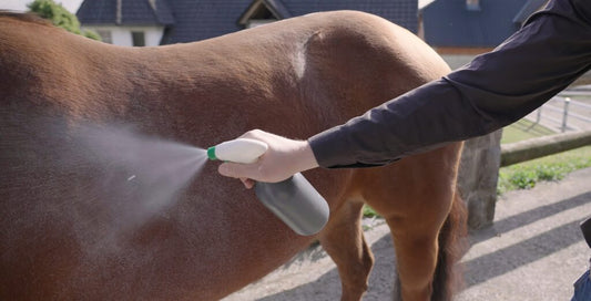 Best Horse Fly Sprays to Keep Your Horse Bite-Free This Summer