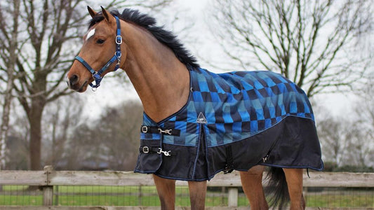 How Long Can You Leave a Magnetic Blanket on a Horse?