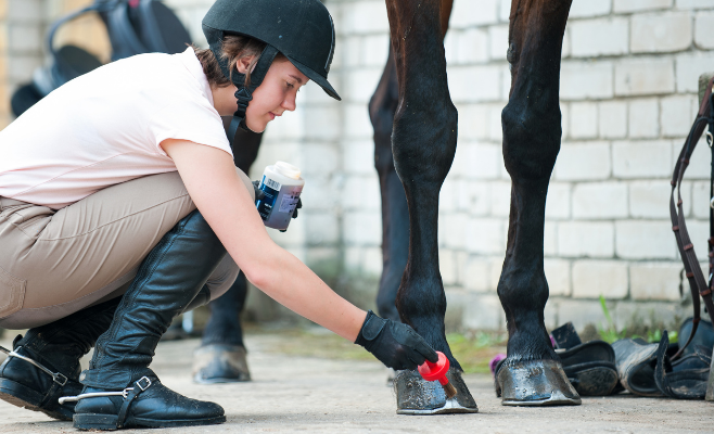 What Does Hoof Oil Do for Horses and Why It's Essential?