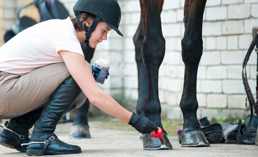 What is the Best Hoof Oil for Horses: Expert Insights?