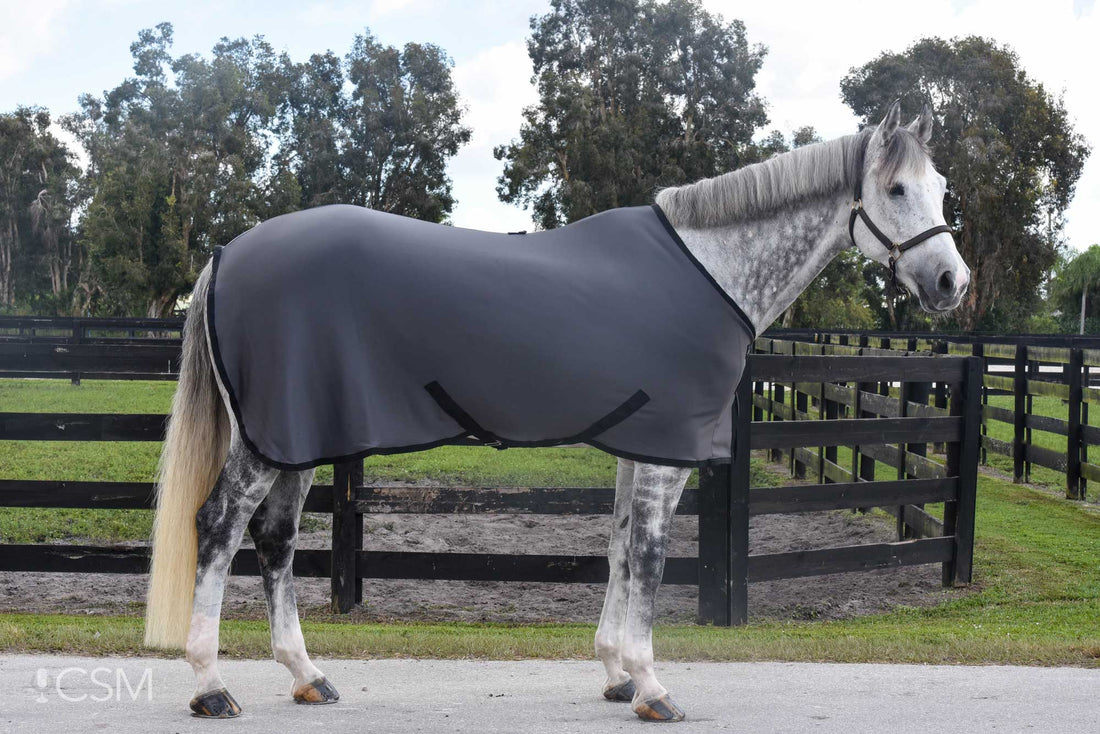 When to Blanket an Unclipped Horse: A Pet Owner's Guide?