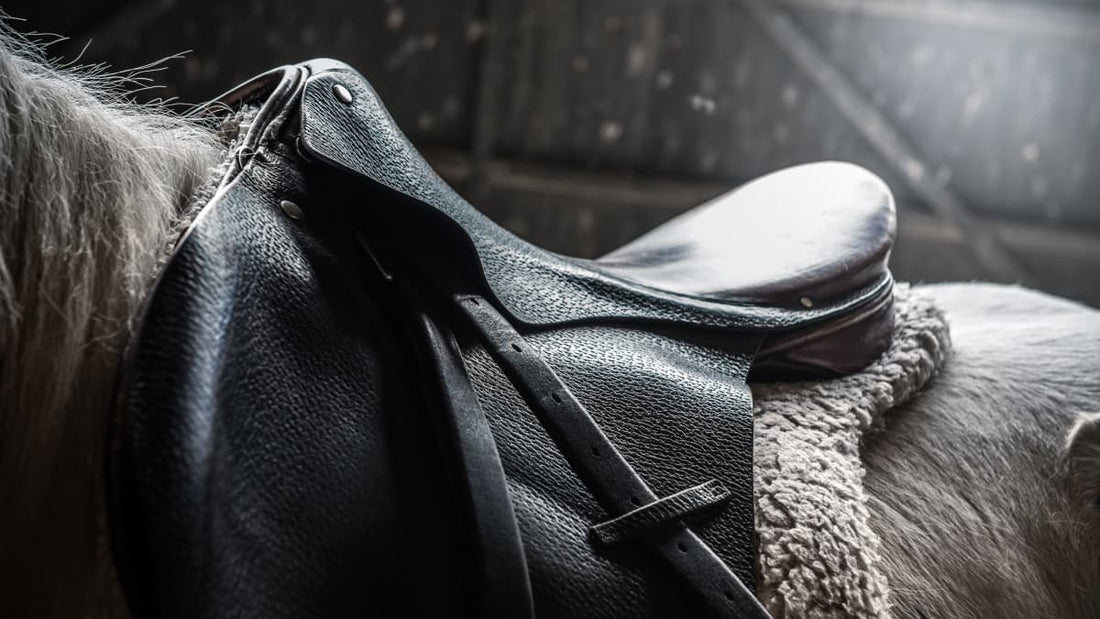 What is a Horse Tack and Why It Matters for Your Horse?