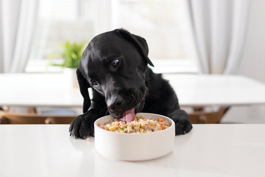 How to Make Delicious and Nutritious Dog Food with Chicken