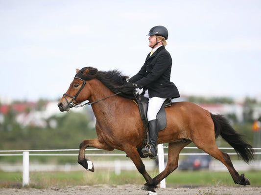 What Colour Saddle Pad for Dressage Should You Choose?