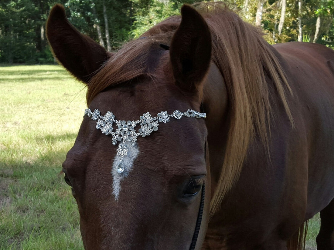 How to Clean a Horse Browband: Practical Steps for Pet Owners