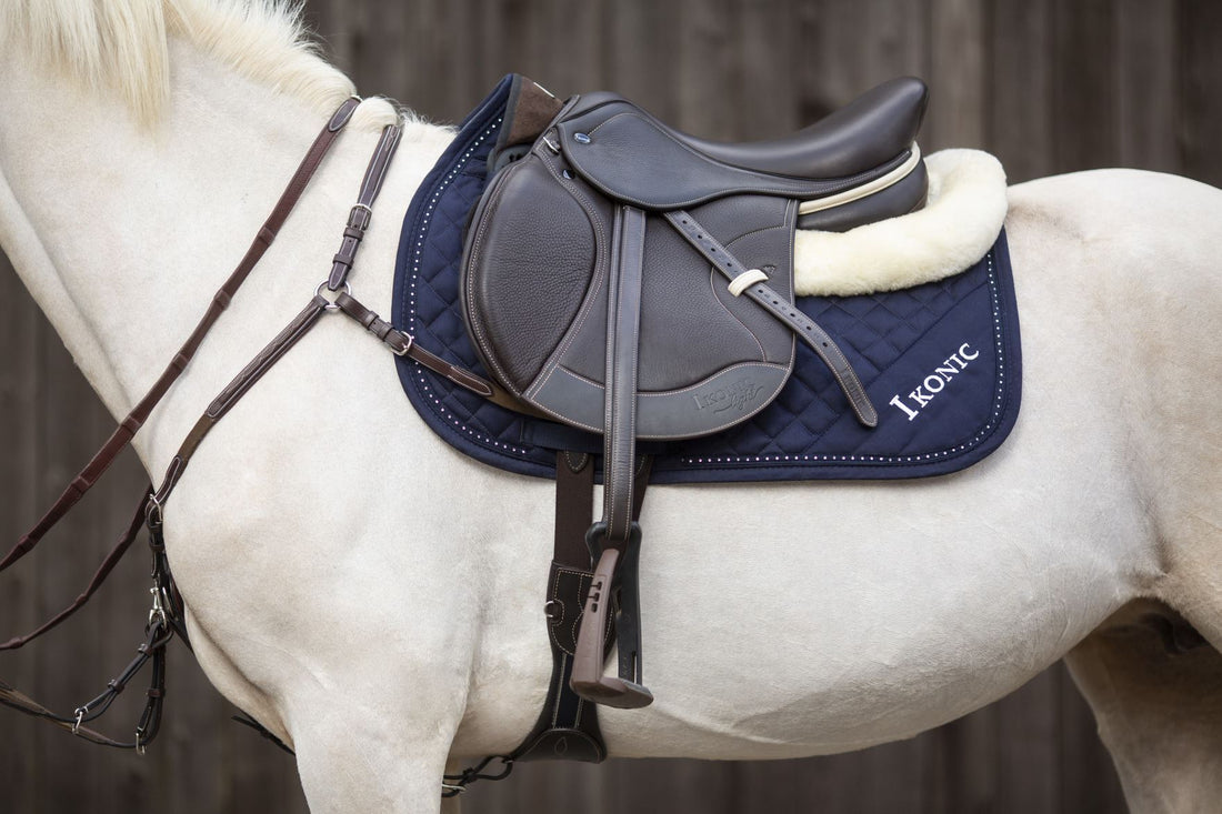 How to Remove Mold from Horse Tack: Essential Tips & Tricks?