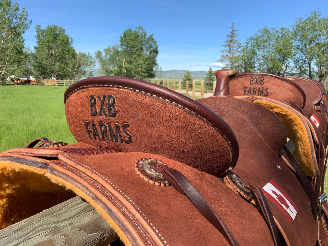 Shocking Techniques Approved for How to Clean a Western Saddle