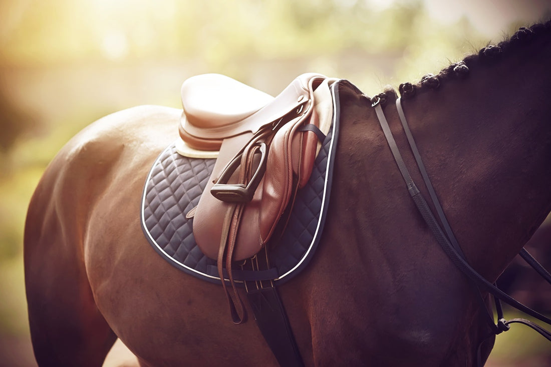 How Much Does a Saddle Weigh? Find Out Here