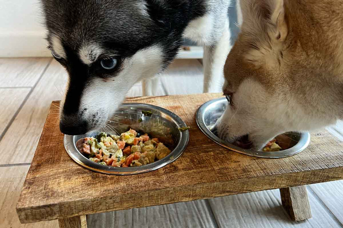 How to Make Homemade Dog Food: Healthy Recipes for Furry Friends