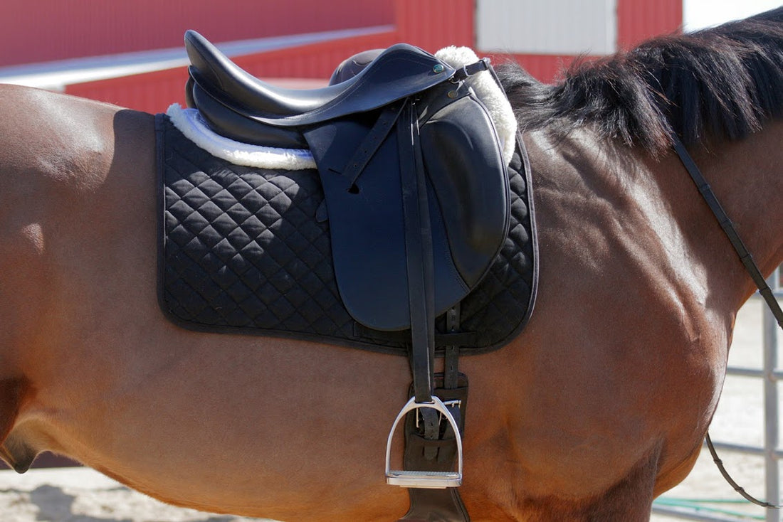 How to Clean a Dressage Saddle for Optimal Care?