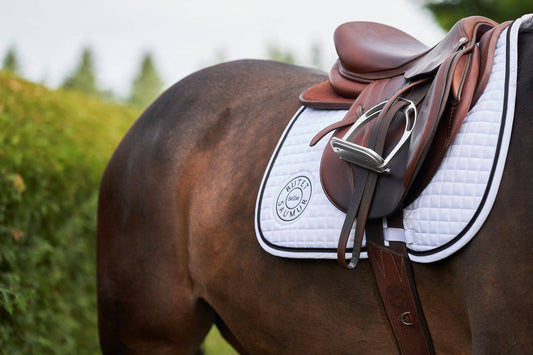 How to Bond with Your Horse? Exclusive and Life-Changing Tips