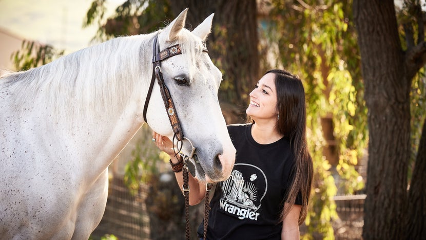 What is a Headstall for a Horse and Its Essential Purpose?