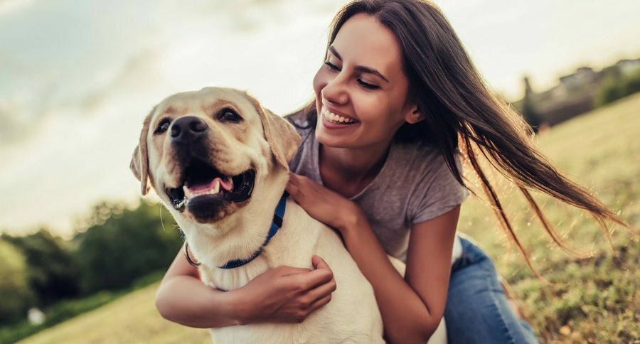 Optimal Training Collars for Large Breeds: Your Health-Savvy Guide
