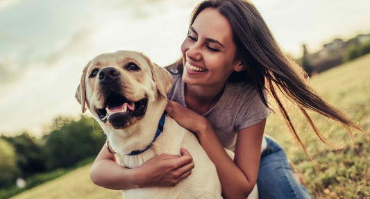 Optimal Training Collars for Large Breeds: Your Health-Savvy Guide