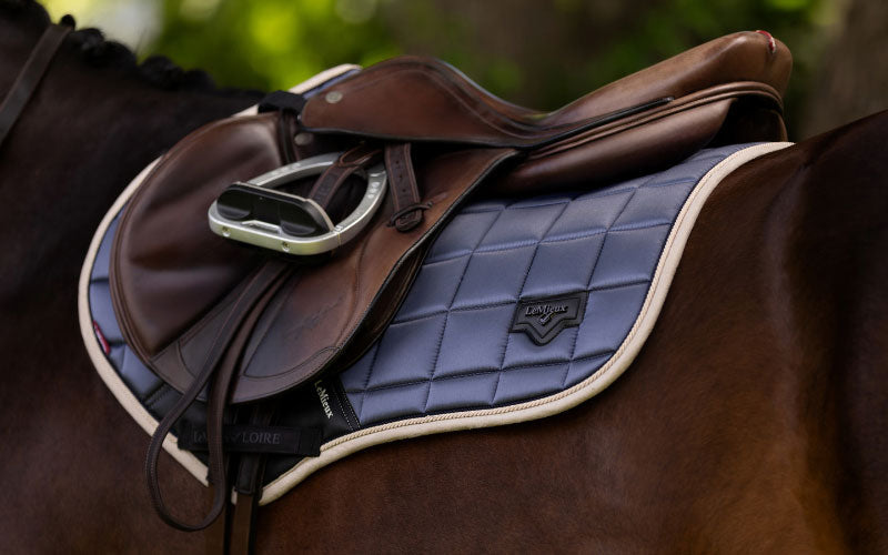 Essential Horse Tack for Beginners: A Safe Riding Guide