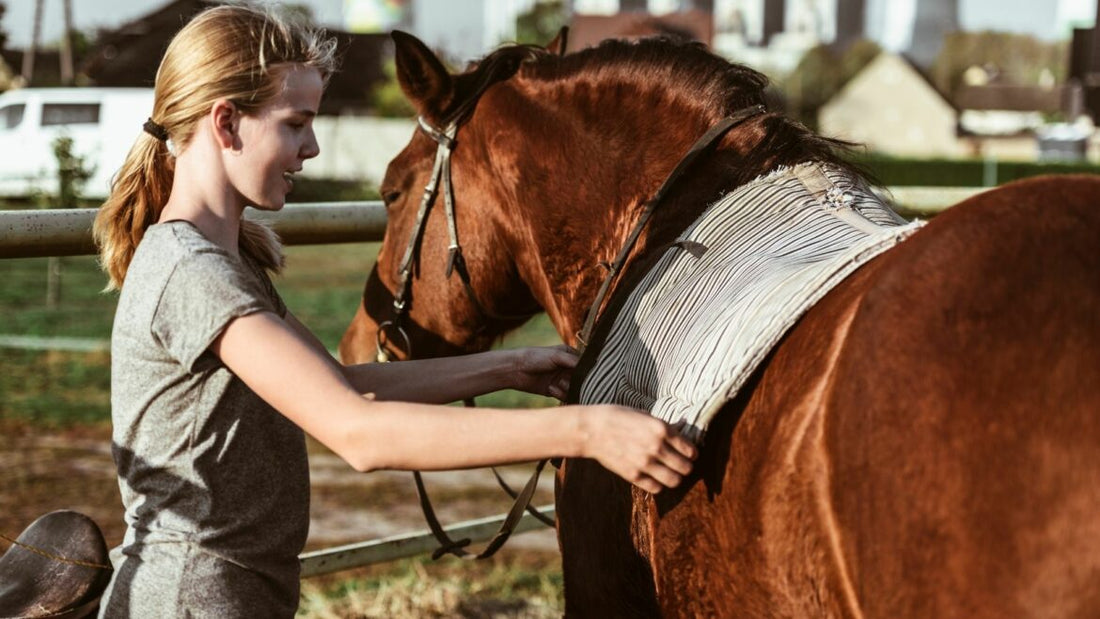 What Does Wet Saddle Pads Mean for Your Horse's Health?