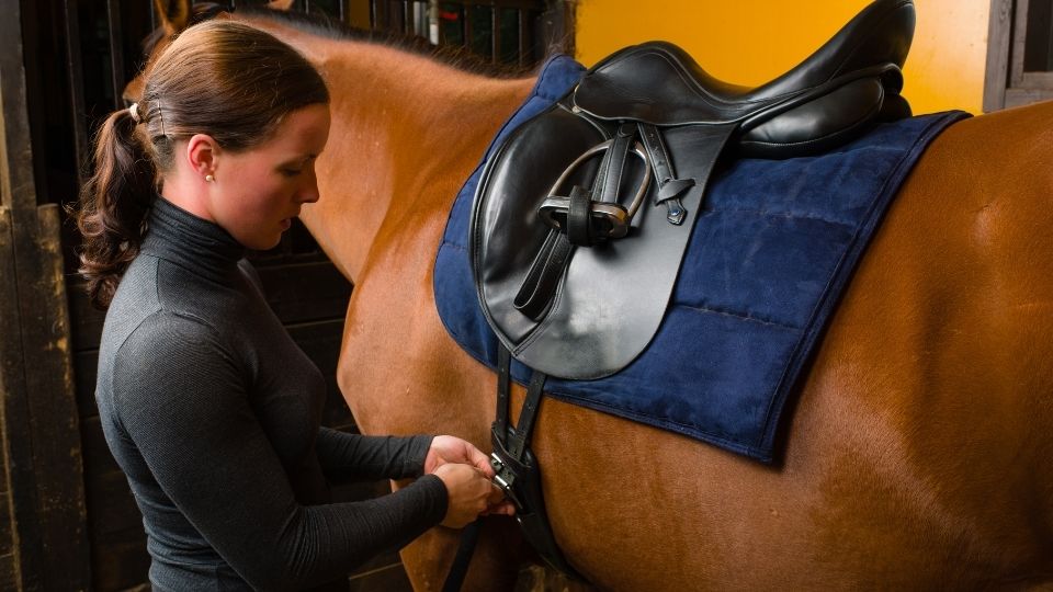 How to Measure an English Saddle: Remarkable Tips and Tricks