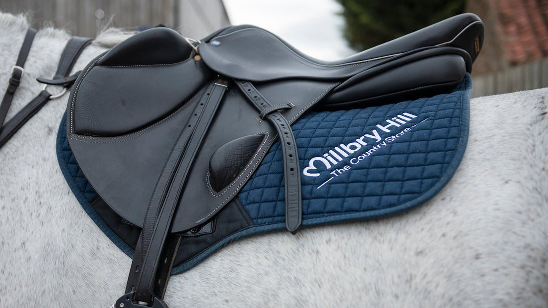 How to Clean Moldy Horse Tack? Big Terrific Tips Inside!