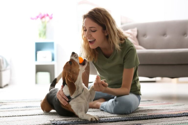 Dog Training Tips for Digging: How To Maintain Your Garden
