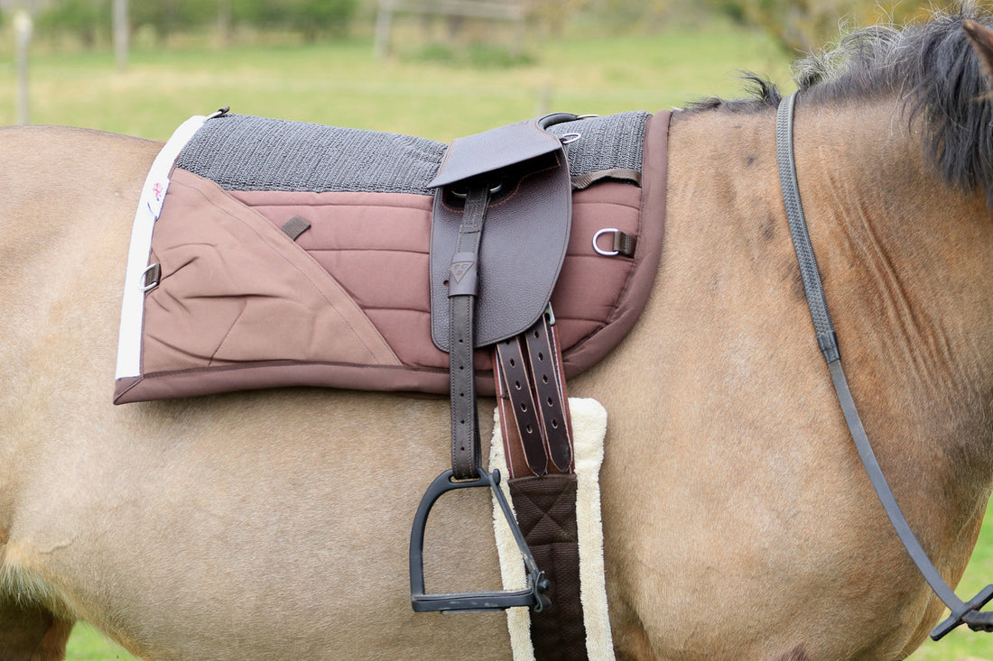 What Size Stirrup Leathers Do I Need for Dressage Riding?