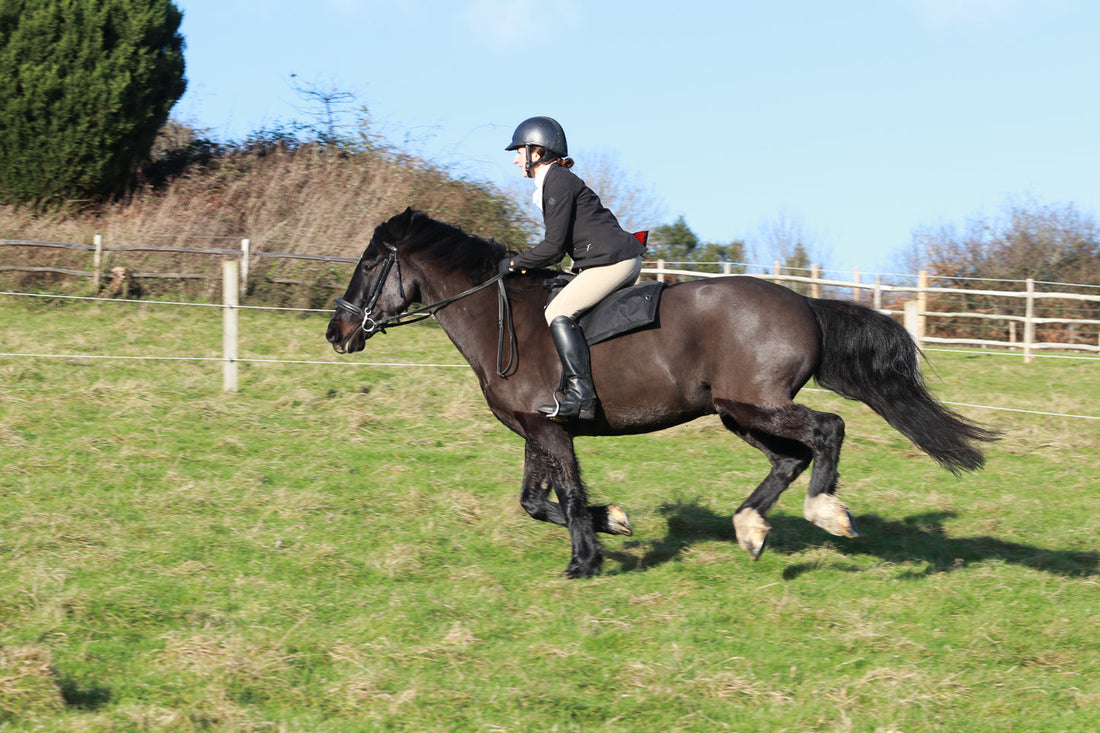 What is a Close Contact Jumping Saddle and Why It Matters?