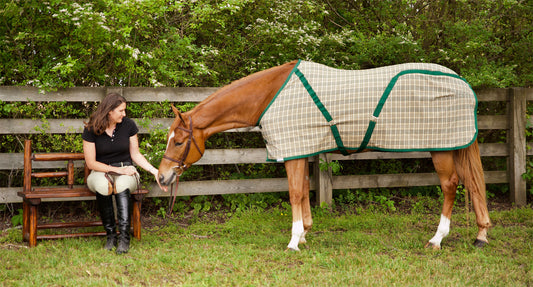 What is a Horse Cooler Blanket Used for and Why is it Important?