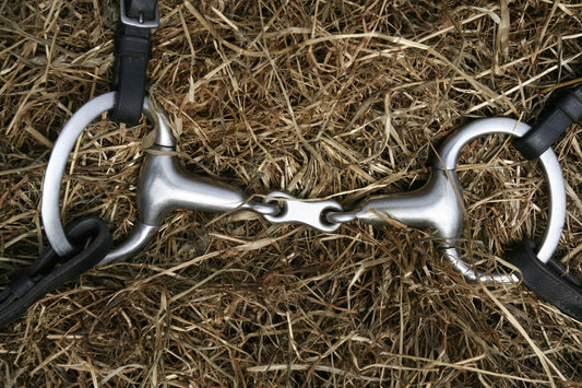 What is a Horse Bit Used for in Equine Care