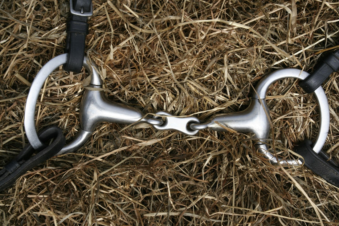 How to Measure a Horse Bit Correctly for Your Horse?