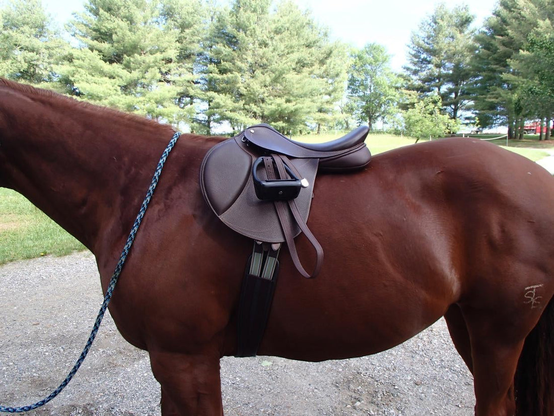 What is a Jumping Saddle and Why Does It Matter for Riders?