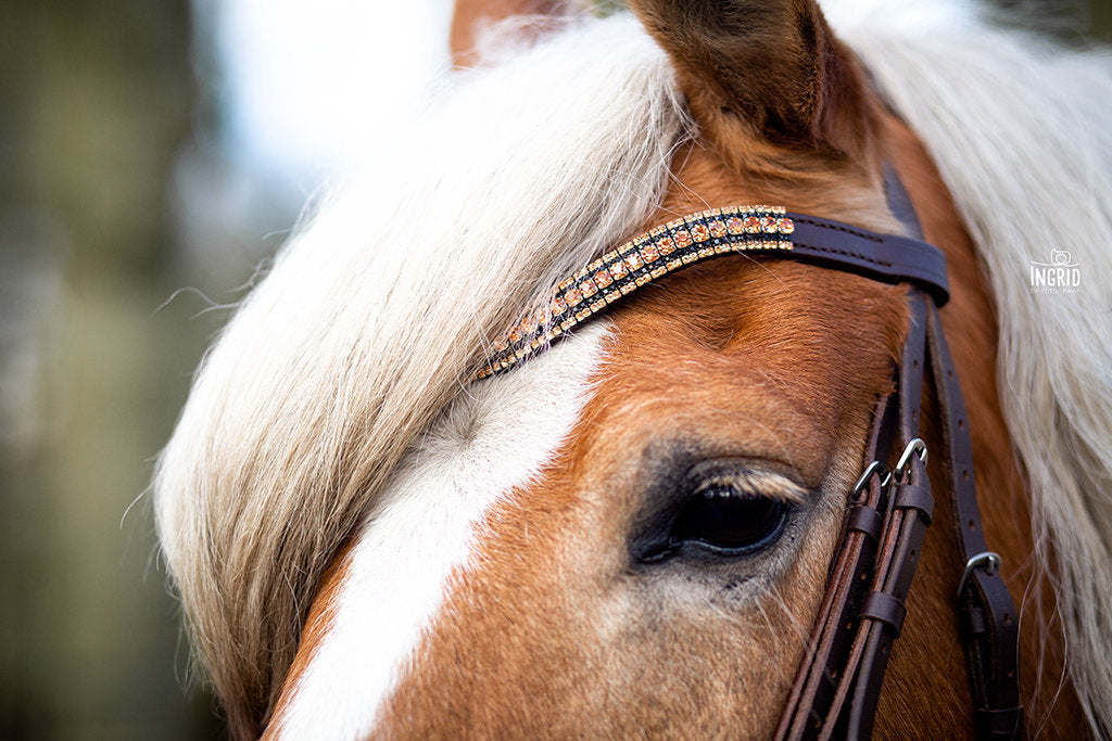What Horse Breeds Are Gaited? Learn About These Unique Breeds