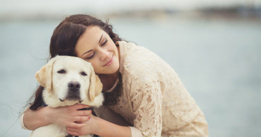 Building Trust with a Rescue Dog: A Guide for Pet Owners