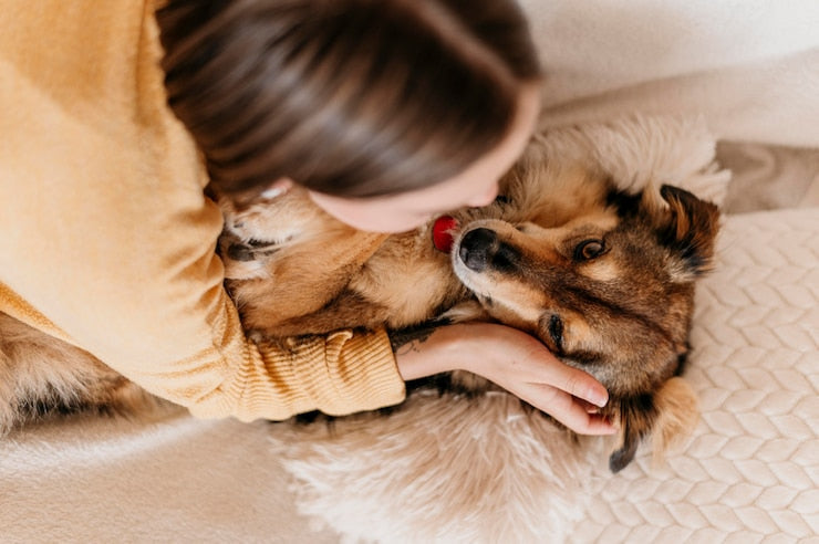 Bonding with a New Dog: A Guide for Health-Conscious Pet Owners